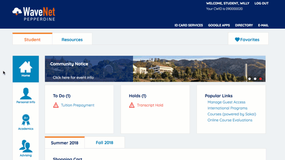 Degree Audit Report
